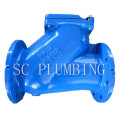 Ball Check Valve